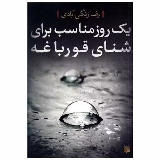 کتاب یک روز مناسب برای شنای قورباغه اثر رضا زنگی آبادی