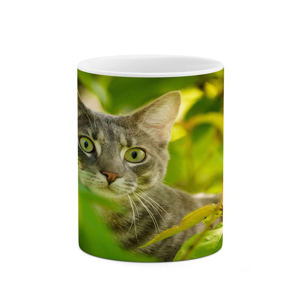 ماگ کاکتی طرح گربه مدل mgs16746