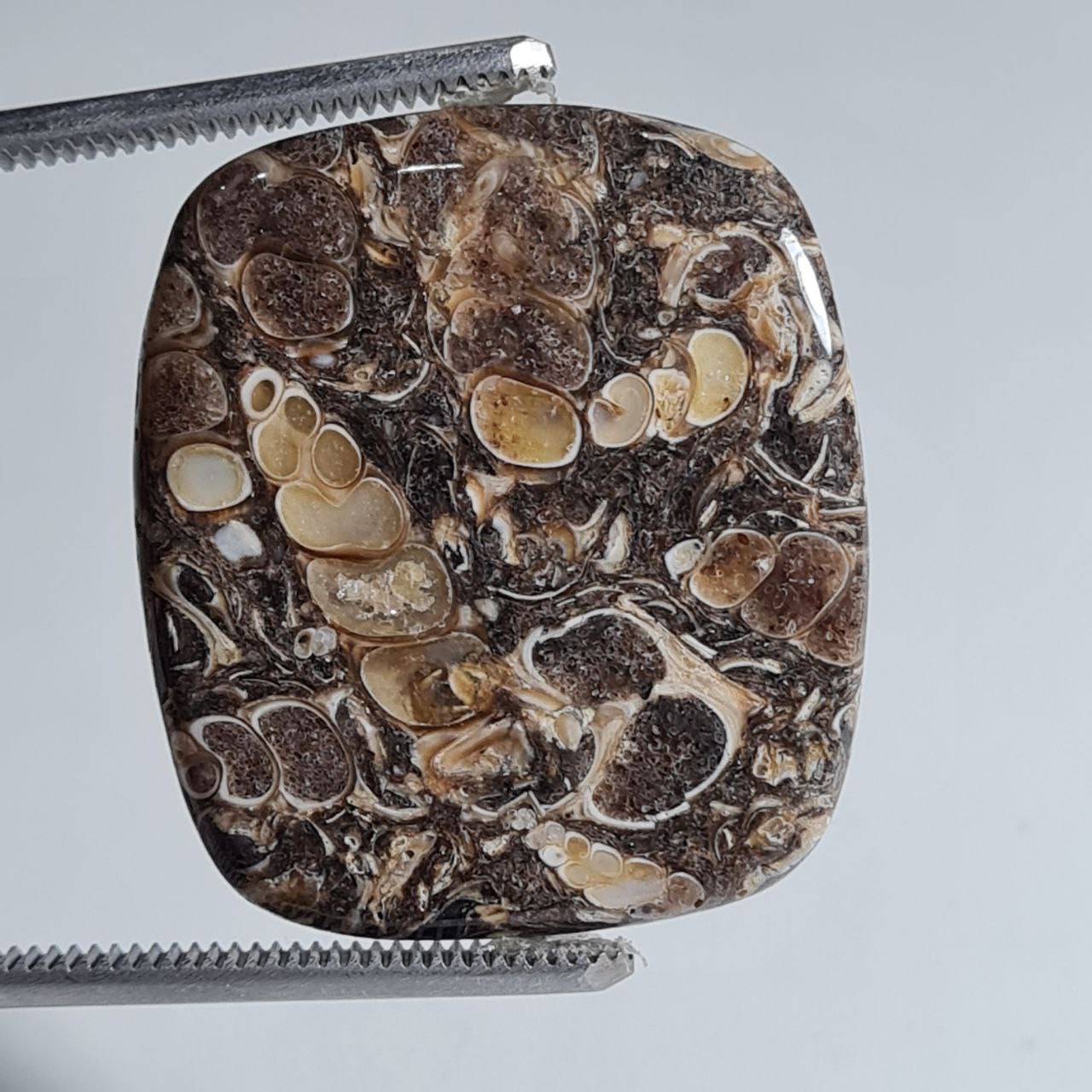 سنگ ترتلا جاسپر اصل 5030