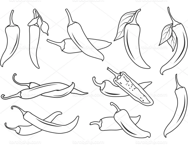 وکتور نقاشی فلفل مناسب برای طراحی | گرافیک با طعم تربچه