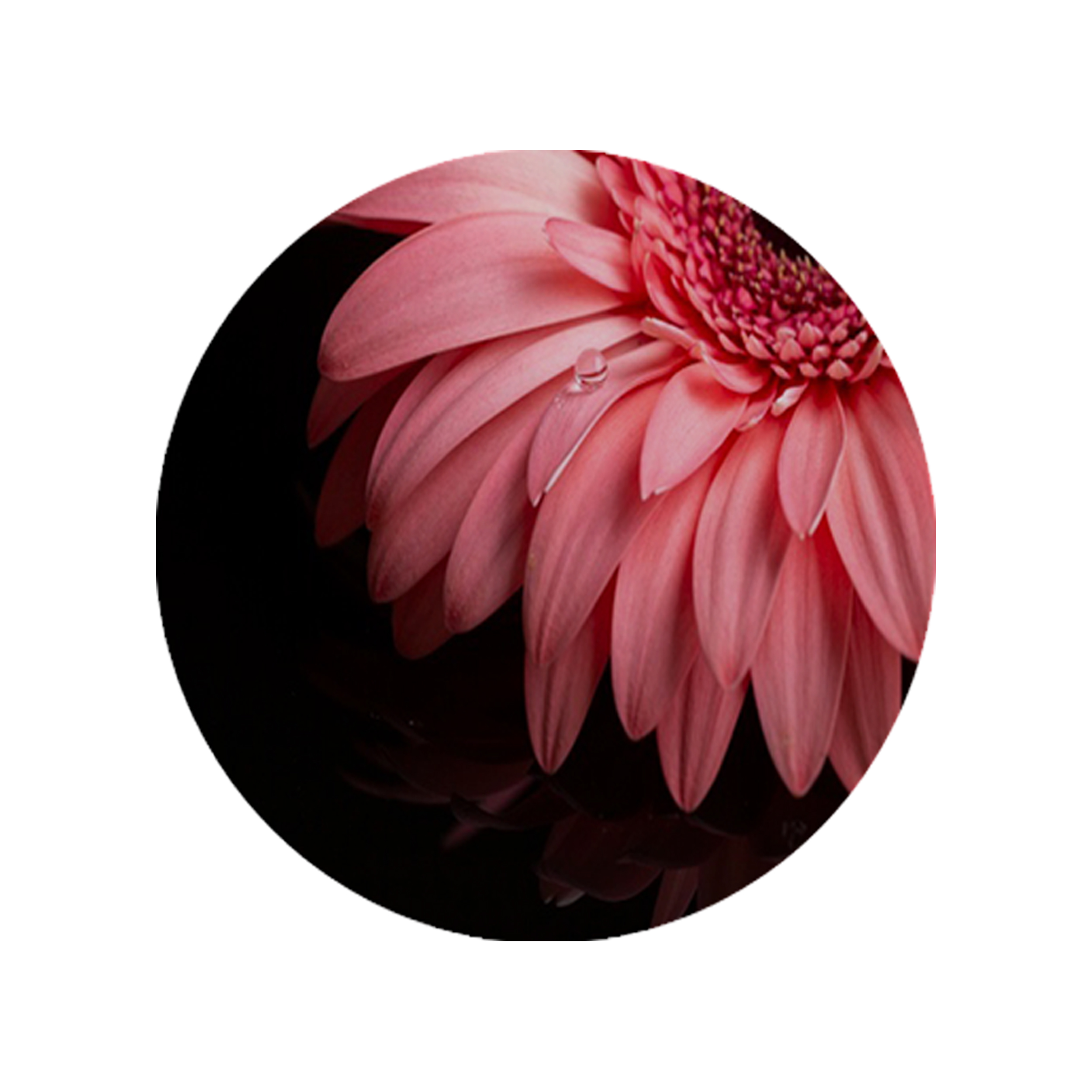 زیرقابلمه ای طرح گل کد 8098 