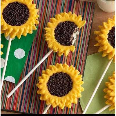 سیلیکون قالب گیری نگین مدل مغزی گل آفتابگردان