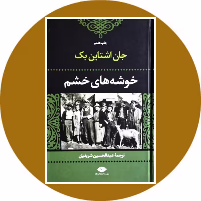 کتاب خوشه‌های خشم - خرید با تخفیف چهل درصد از کتاب دایره قهوه ای