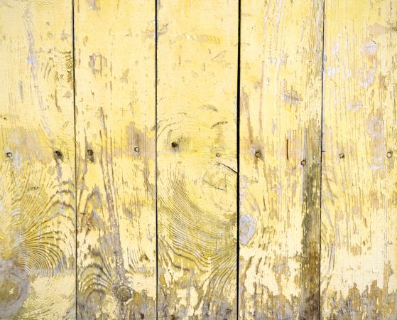 خرید و دانلود عکس ShutterStock-2014-Backgrounds &amp; Textures کد 53668 | پیک فاکس | Pic Fox