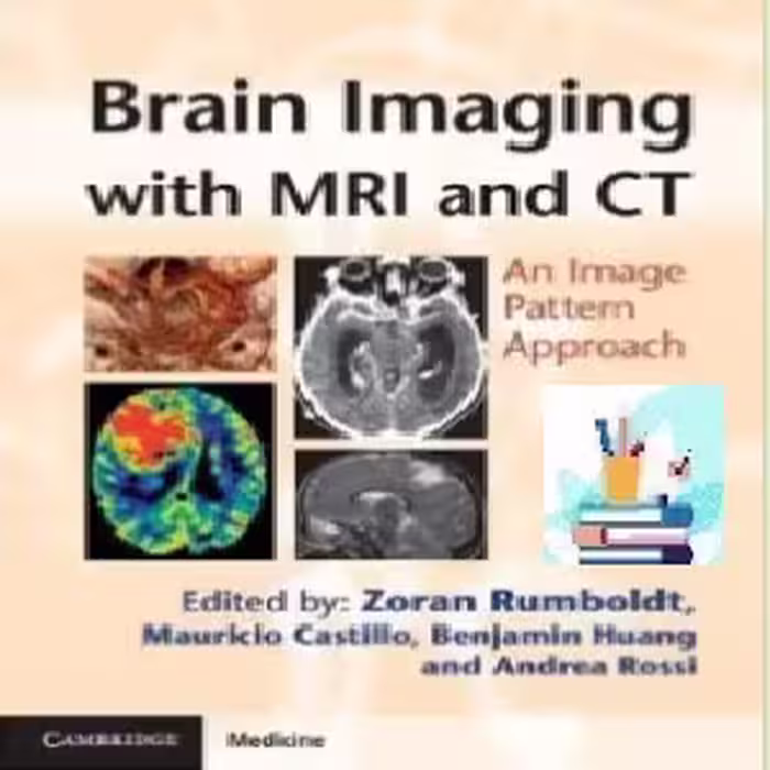 Brain Imaging with MRI and CT TRUE PDF price 1€