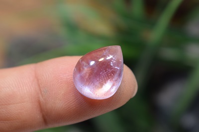 امتیست دامله(کاپوشی)