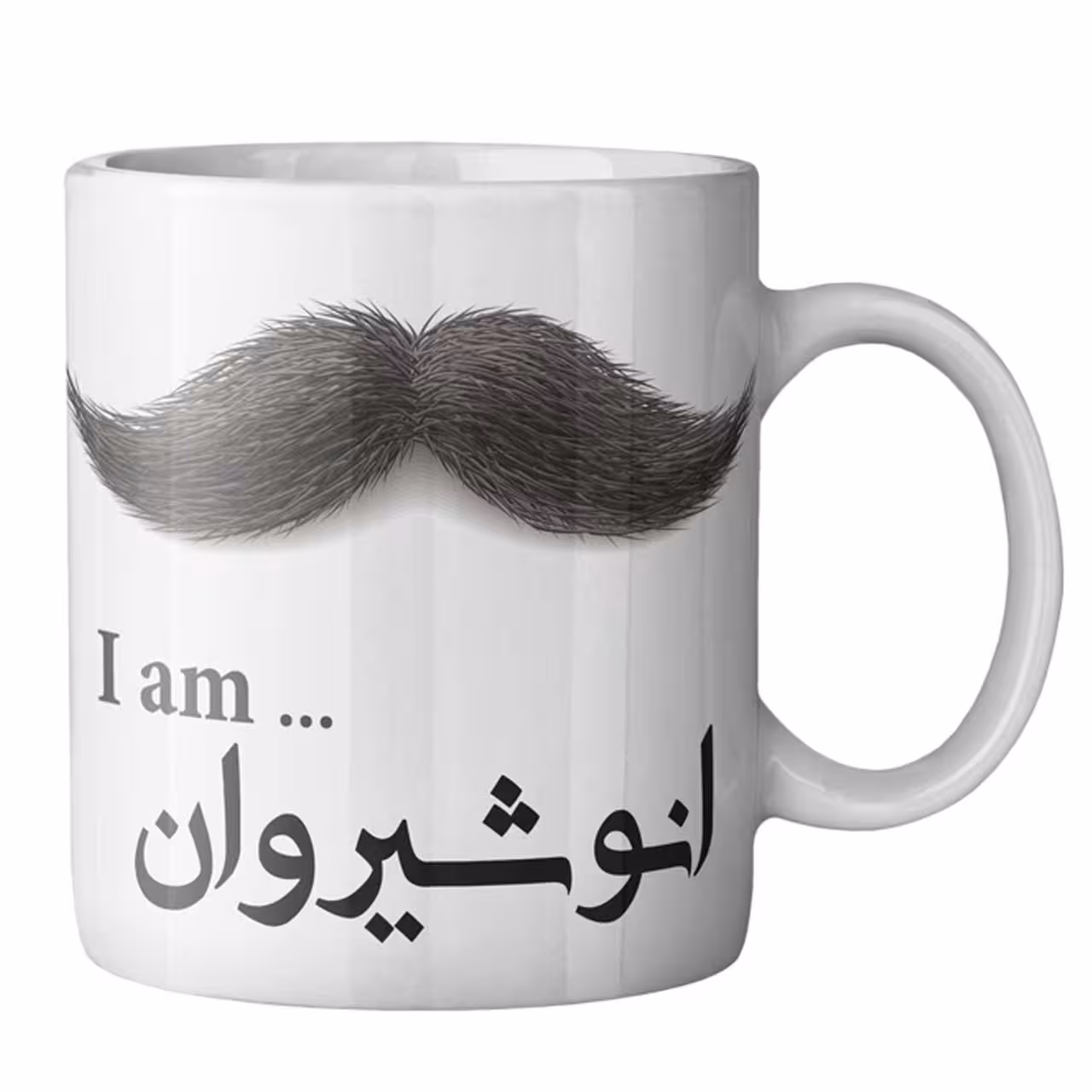 ماگ ماگستان مدل  انوشیروان