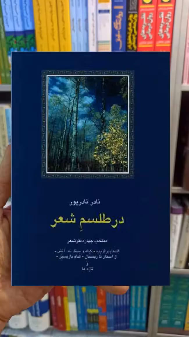 در طلسم شعر نادر نادرپور سخن - بانک کتاب ماندگار-قیمت-خرید-کتاب-کمک-درسی-کنکور-دانشگاهی