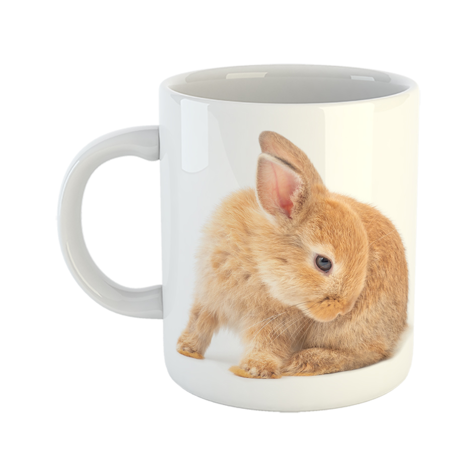 ماگ مدل خرگوش کد 02