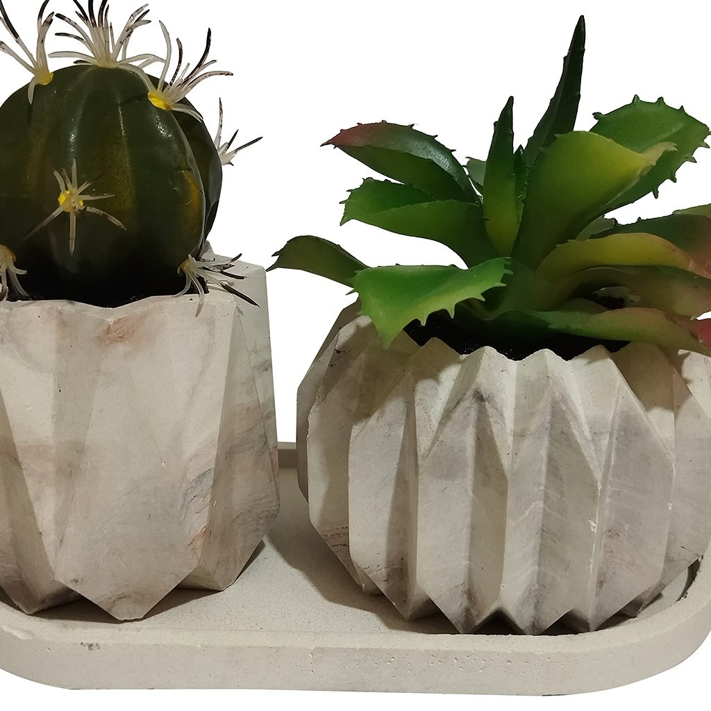گلدان کاکتوس بتنی 2 تایی کد 21410