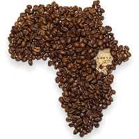 کلمبیا سوپریمو اسکرین 19 - فروشگاه آنلاین قهوه