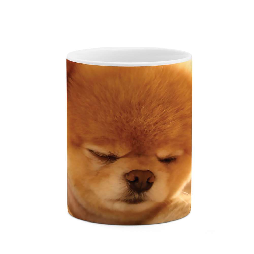 ماگ طرح سگ مدل mgs05178