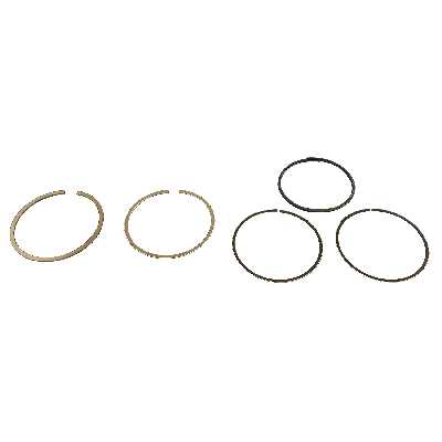 رینگ موتور پرفکت مدل STD مناسب برای پژو 405 بسته 20 عددی