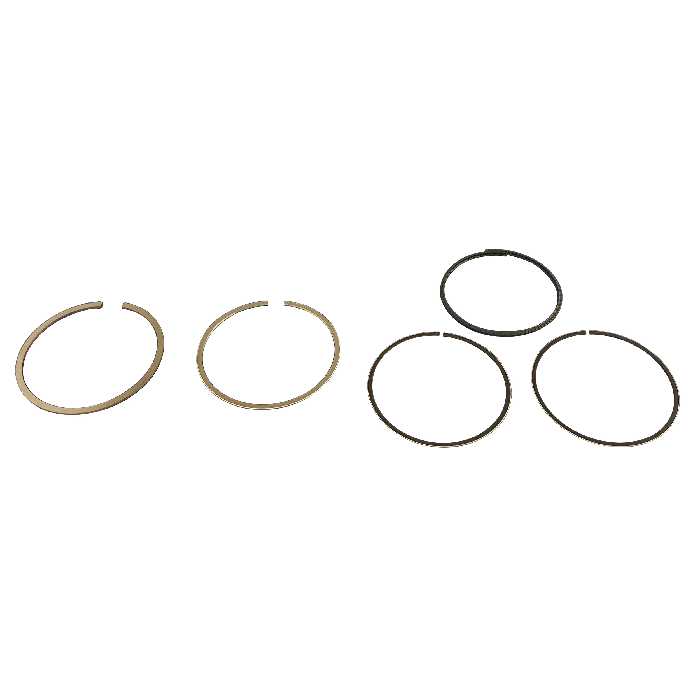 رینگ موتور پرفکت مدل STD مناسب برای پژو 405 بسته 20 عددی