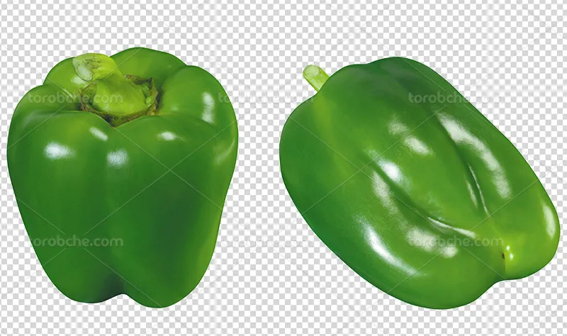 عکس PNG فلفل دلمه ای سبز رنگ | گرافیک با طعم تربچه