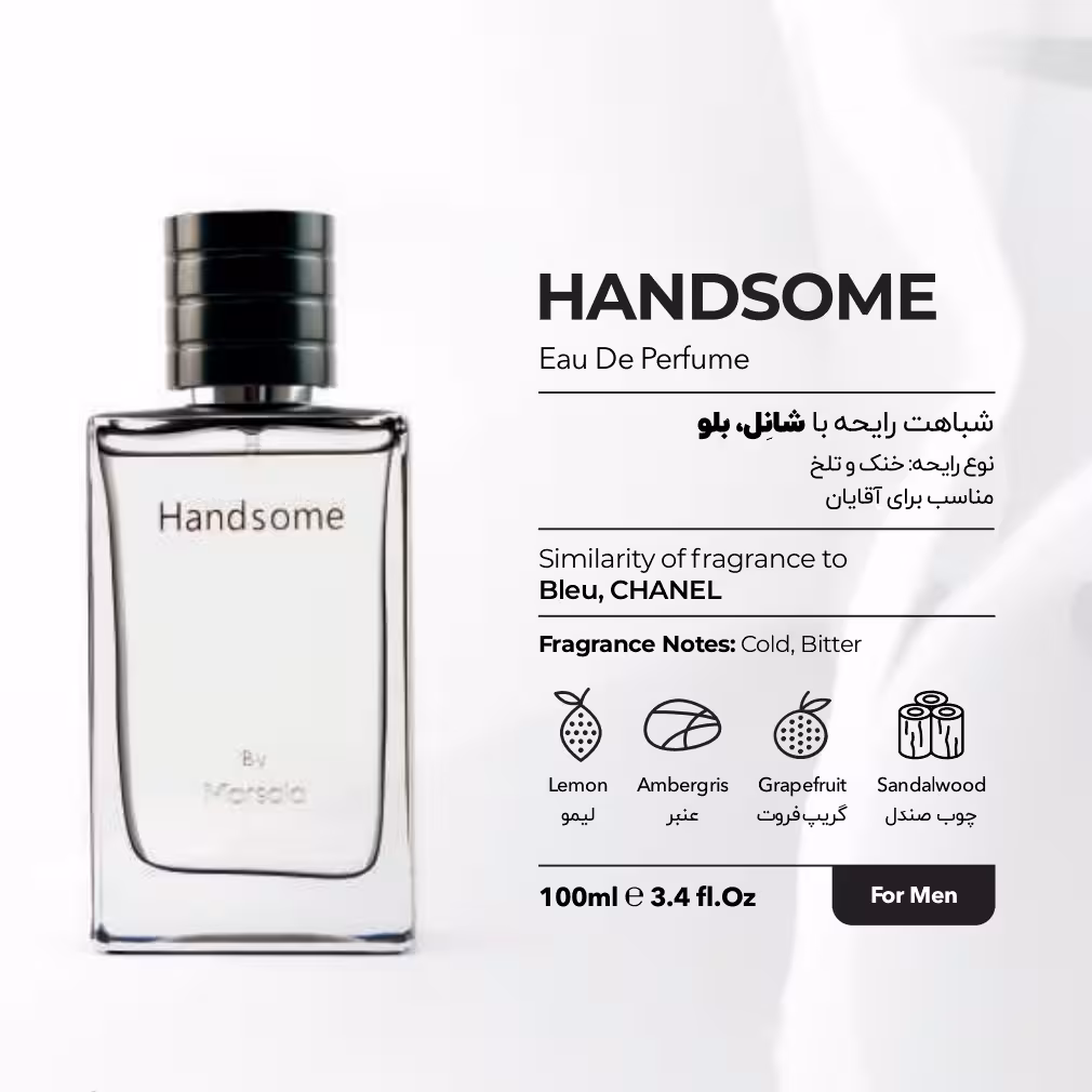 ادکلن هند سام Hand Someمارسالا مناسب برای آقایان 100میل