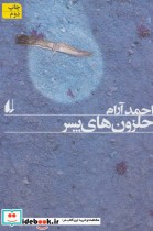 قیمت و خرید کتاب ادبیات امروز رمان101 اثر احمد آرام | ایده بوک