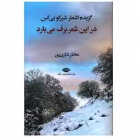 کتاب در این شعر برف می بارد اثر شیرکو بی کس