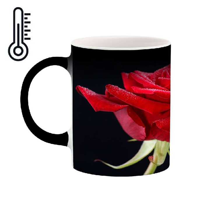 ماگ حرارتی 
کاکتی طرح گل رز مدل mgh18047