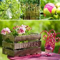 خرید و دانلود عکس Flower-Part-9 کد 18425 | پیک فاکس | Pic Fox