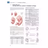 کتاب Atlas of Anatomy اثر Michael Schuenke انتشارات تیمه