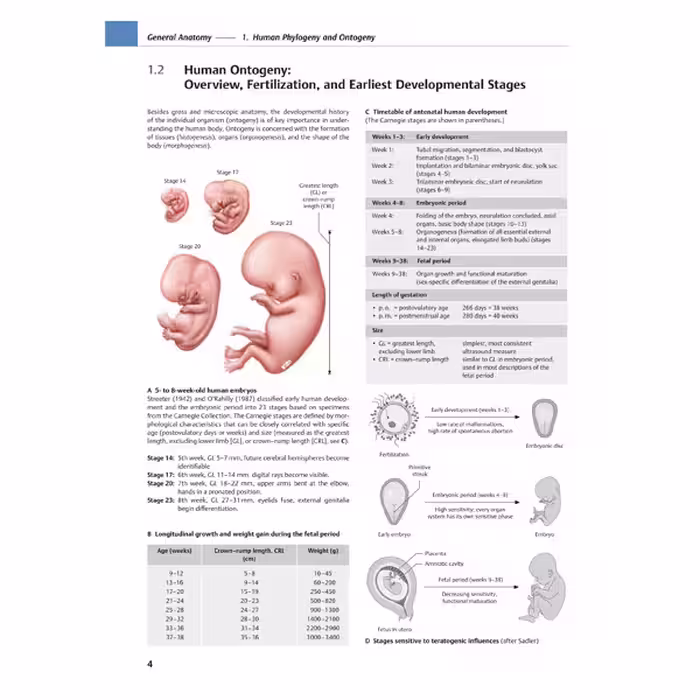 کتاب Atlas of Anatomy اثر Michael Schuenke انتشارات تیمه