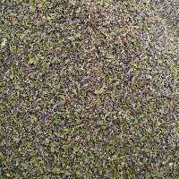 نعنا فلفلی - 500 گرم