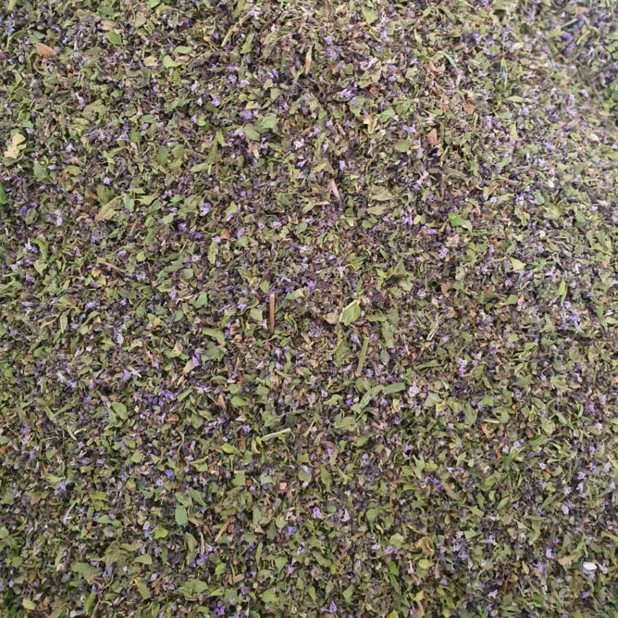 نعنا فلفلی - 500 گرم