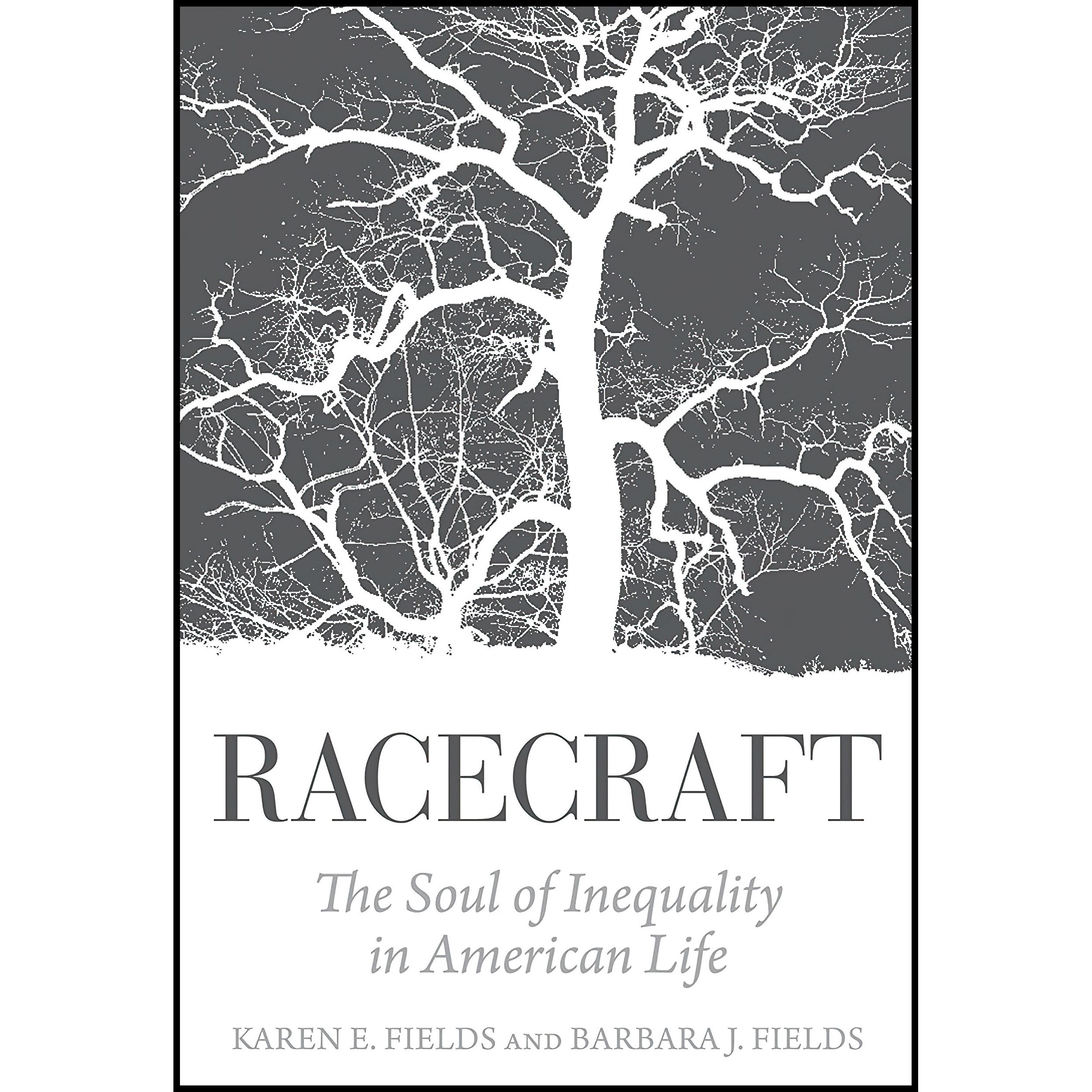 کتاب Racecraft اثر Karen E Fields and Barbara J Fields انتشارات Verso