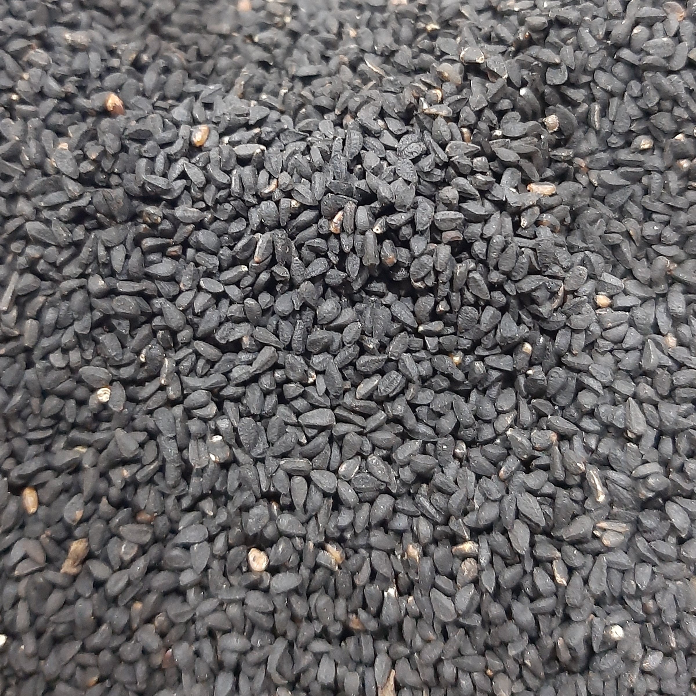 سیاه دانه (100گرمی )