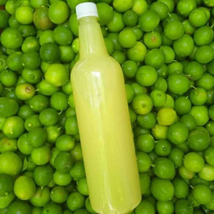 ابلیمو طبیعی بدون مواد نگهدارنده از باغات جنوب استان فارس