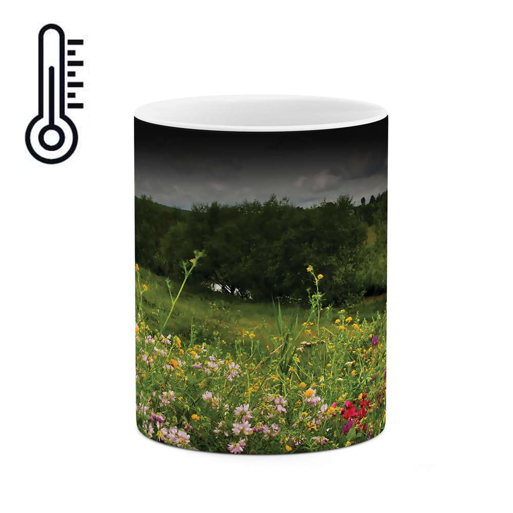 ماگ حرارتی طرح طبیعت مدل mgh03856