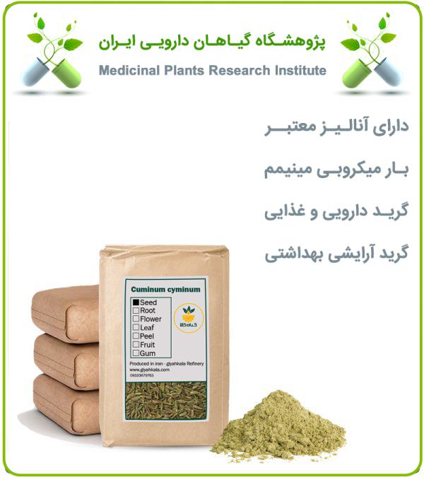 پودر زیره سبز فله