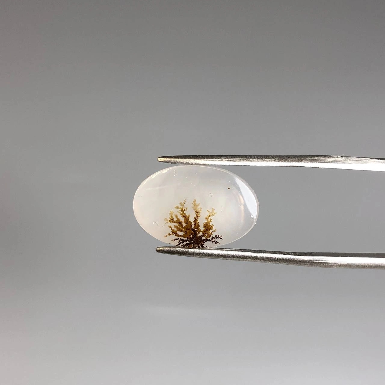 عقیق شجر طبیعی بوته 250455