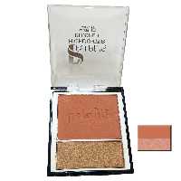 رژگونه و هایلایتر پارس پلادیس شماره 105