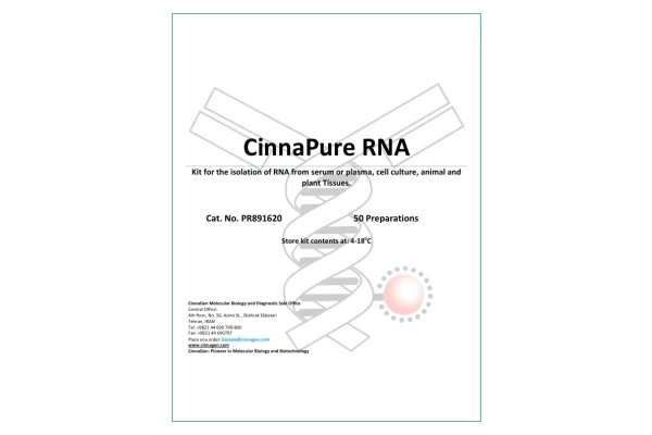 استخراج RNA 🔬 - کتابخانه مجازی واتیکان