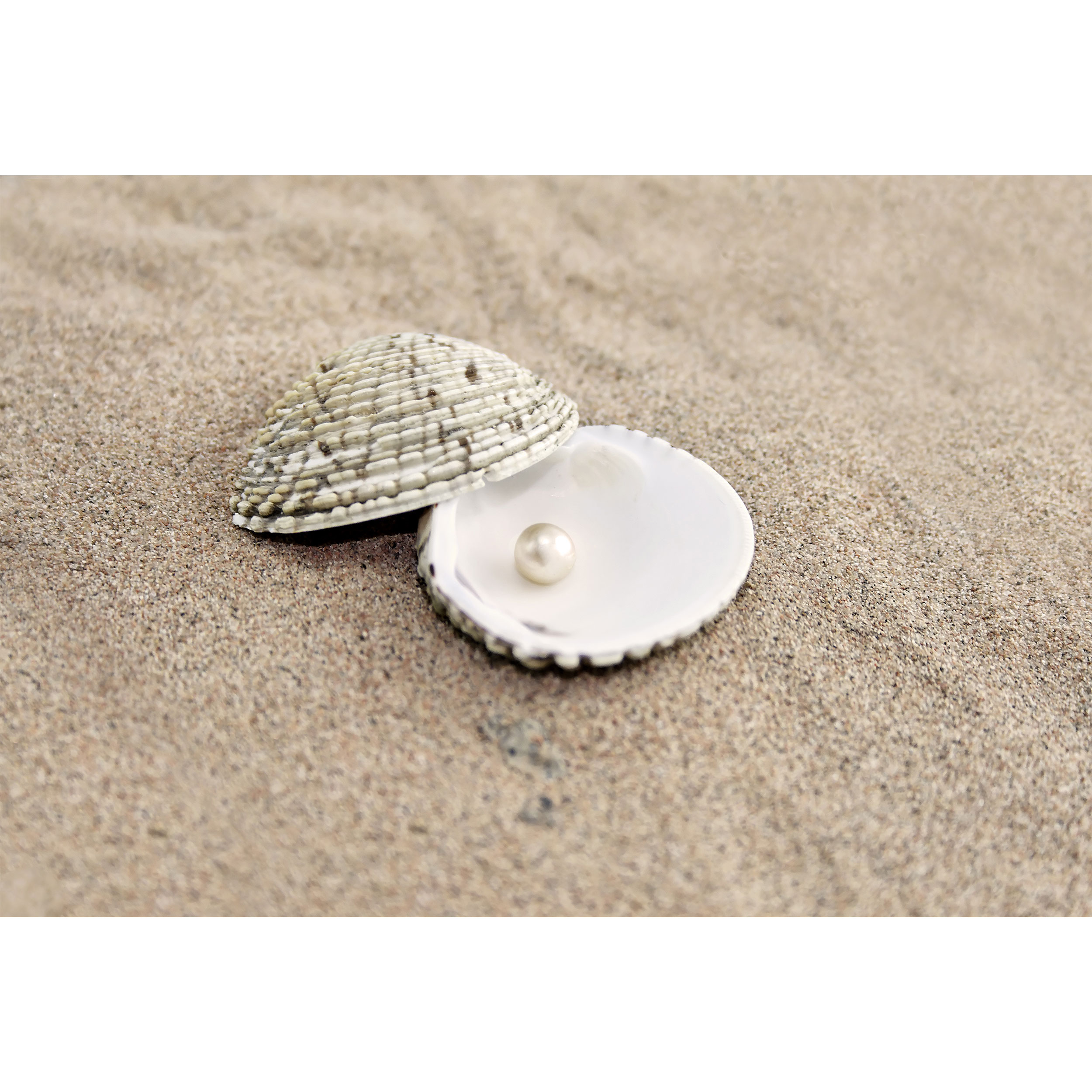 تابلو شاسی مدل صدف و مروارید T7110