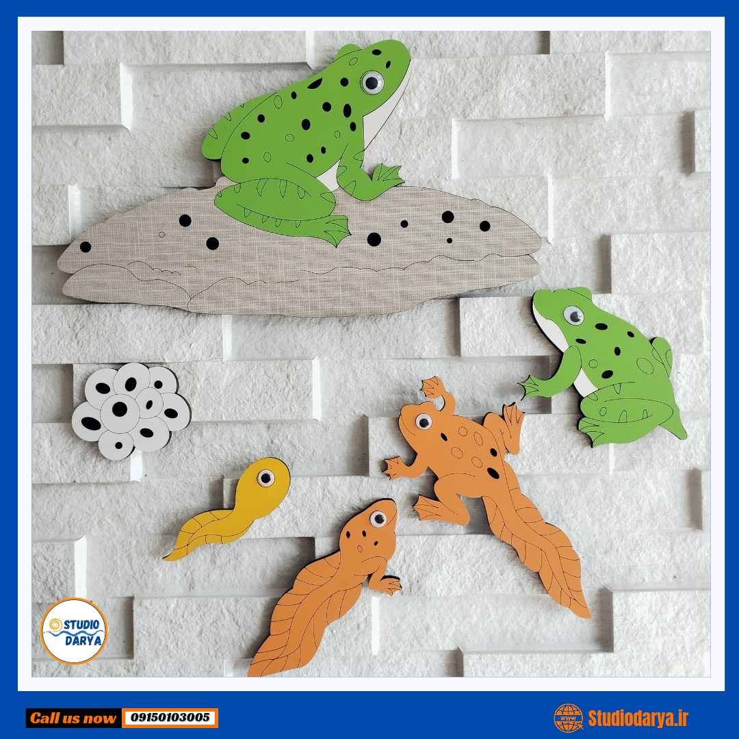 چرخه زندگی قورباغه