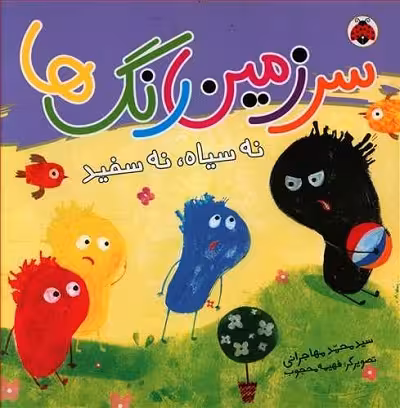 سرزمین رنگ‌ها: نه سیاه نه سفید
