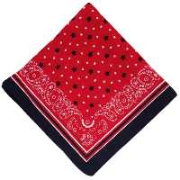 دستمال سر و گردن مدل ستاره و ترمه Rokh132