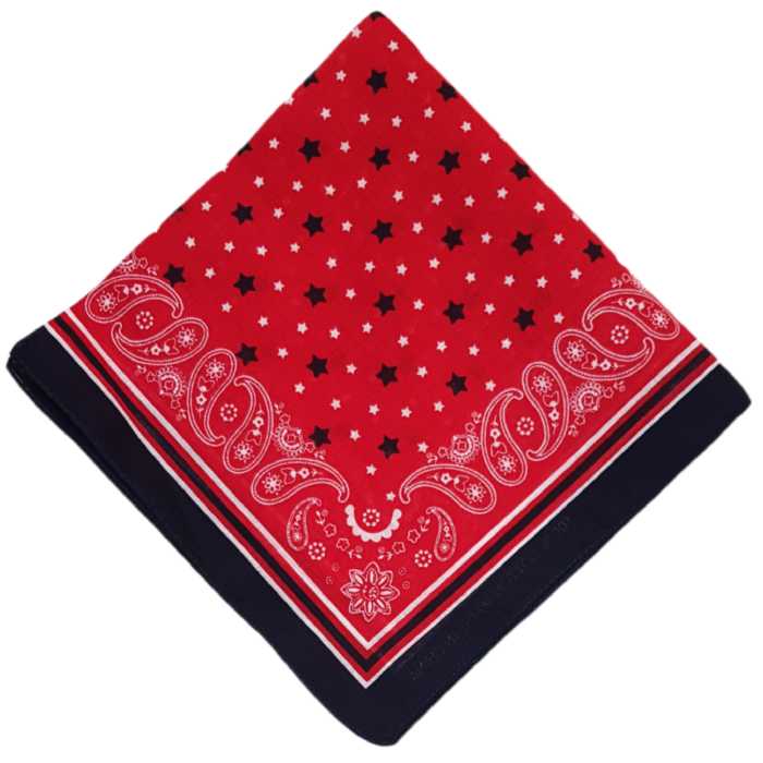 دستمال سر و گردن مدل ستاره و ترمه Rokh132
