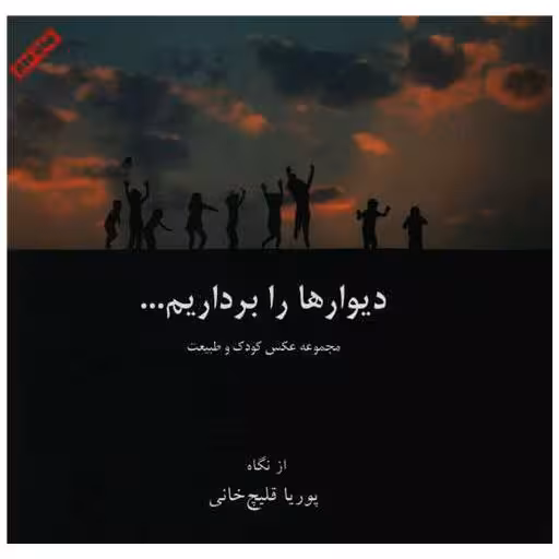 کتاب دیوار ها را برداریم اثر پوریا قلیچ خانی
