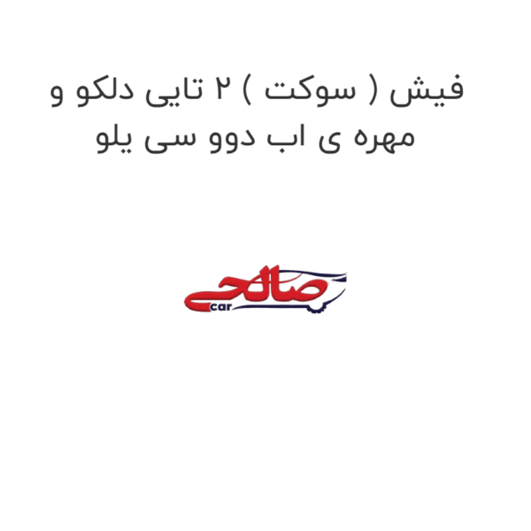فیش ( سوکت ) 2 تایی دلکو و مهره ی اب دوو سی یلو
