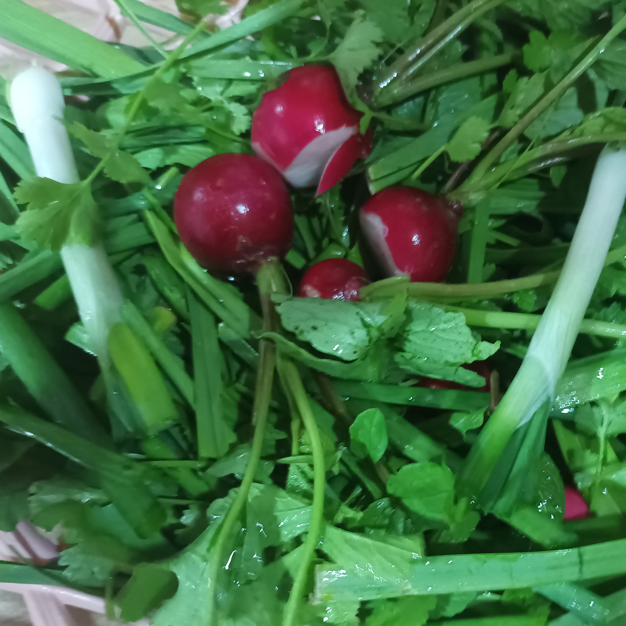 سبزی خوردن( پس کرایه)