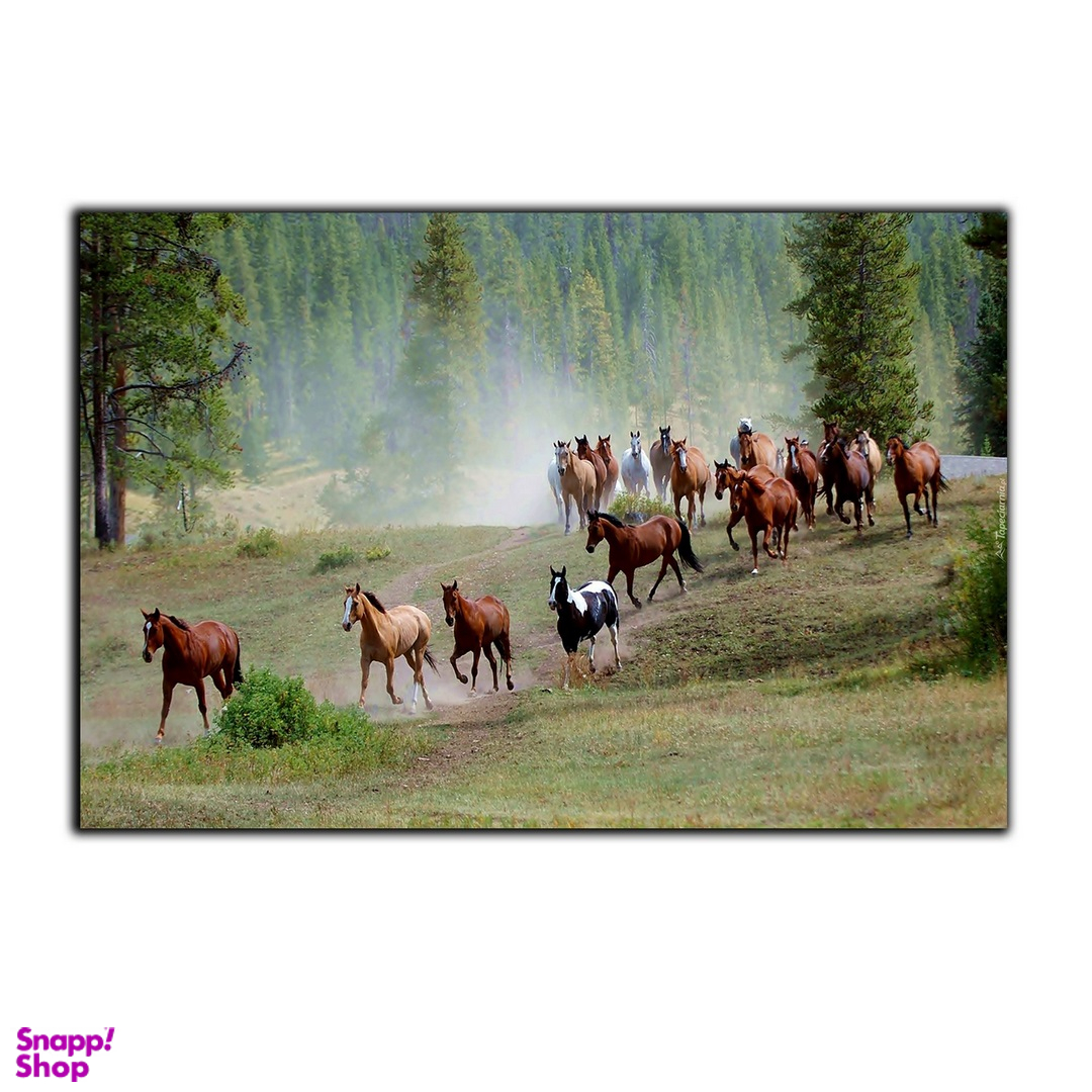 تابلو شاسی بکلیت طرح جنگل و گله اسب مدل SH-7549