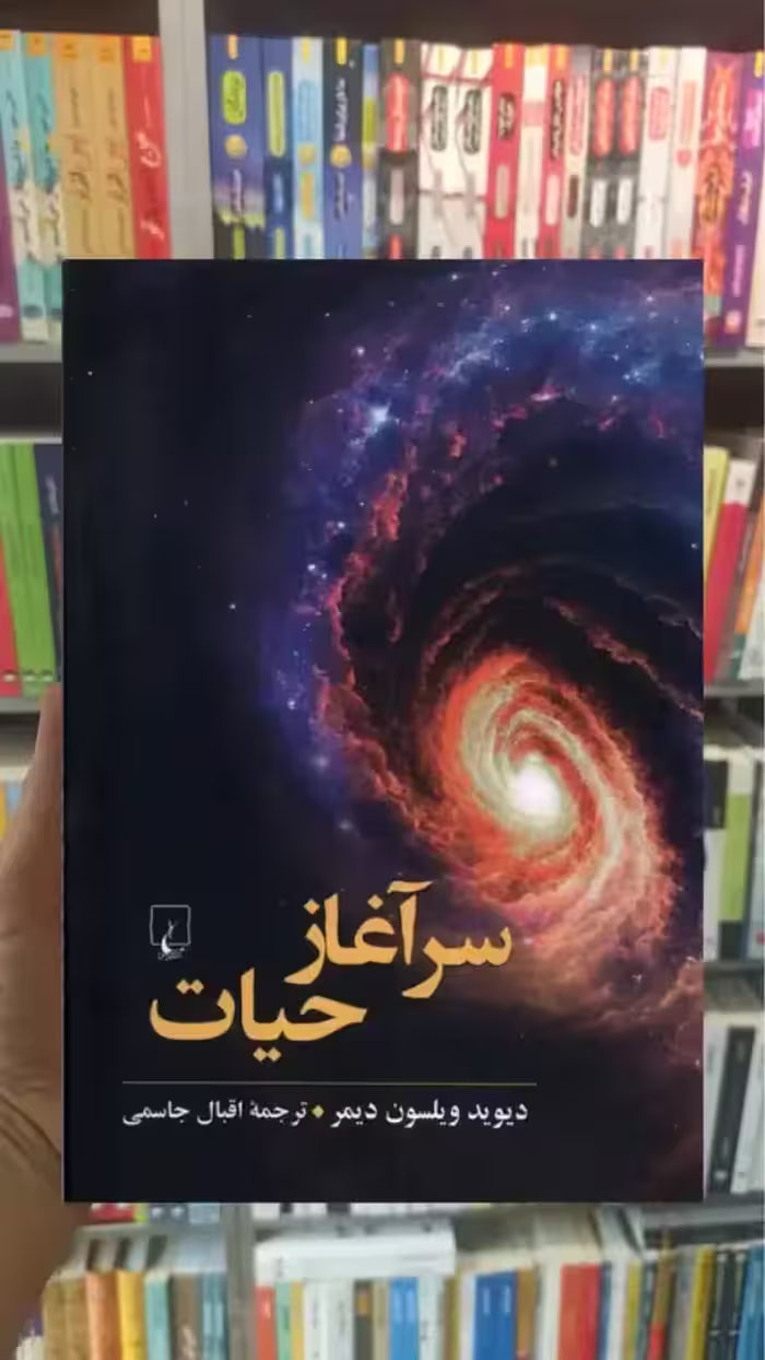 سرآغاز حیات ققنوس - بانک کتاب ماندگار-قیمت-خرید-کتاب-کمک-درسی-کنکور-دانشگاهی
