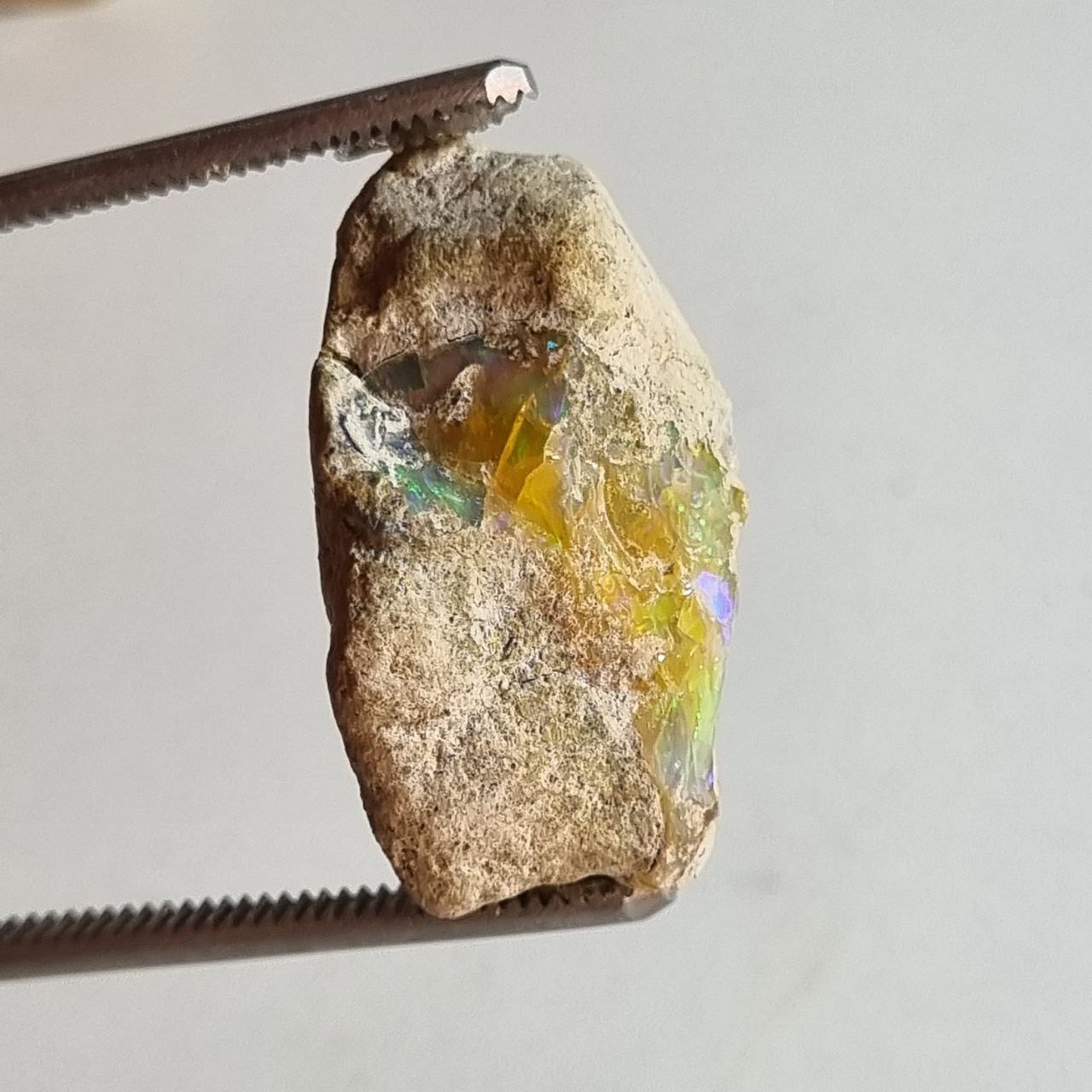 اوپال راف شناسه 7744