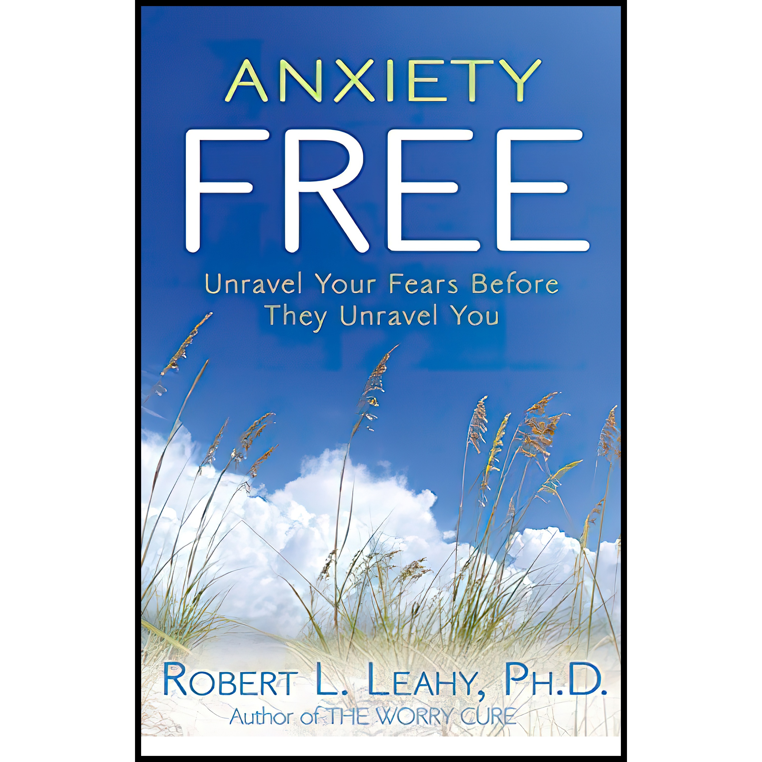کتاب Anxiety Free اثر Robert L Leahy انتشارات Hay House