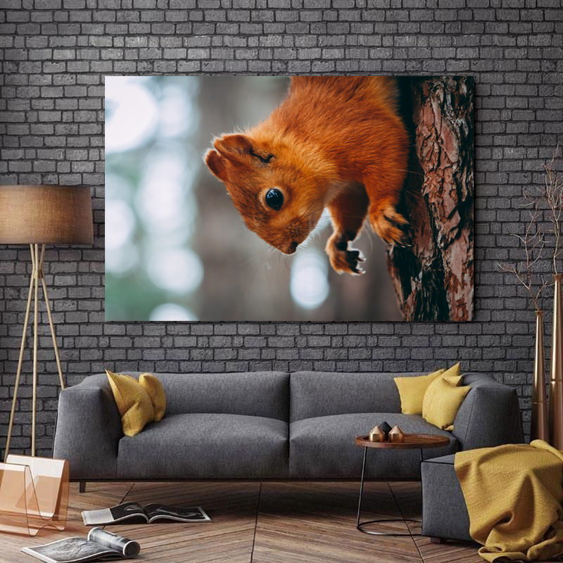 تابلو شاسی طرح حیوانات مدل سنجاب کد 854