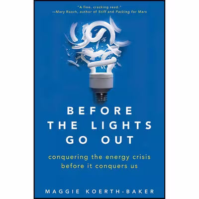 کتاب Before the Lights Go Out اثر Maggie Koerth-Baker and Maggie Koerth انتشارات Wiley